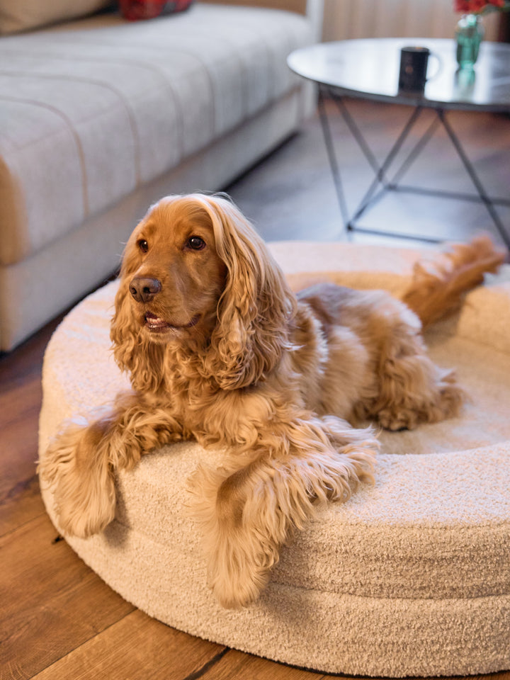 DUKIER-HUNDEBETT