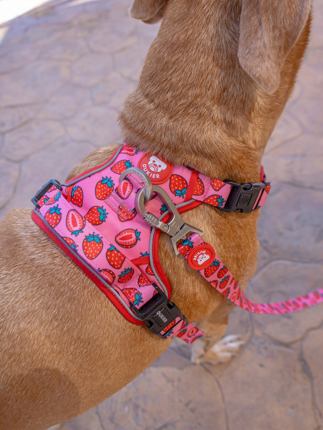 ARNES TRAIL PARA PERRO BERRY LOVE