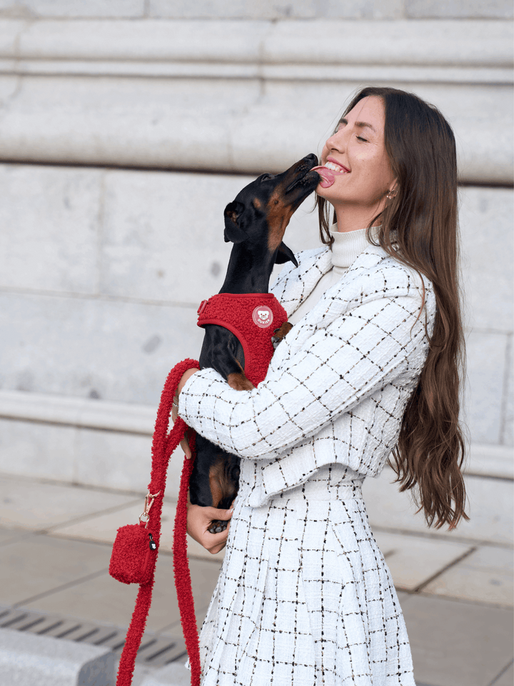 PORTA BOLSAS CACA TEDDY RED