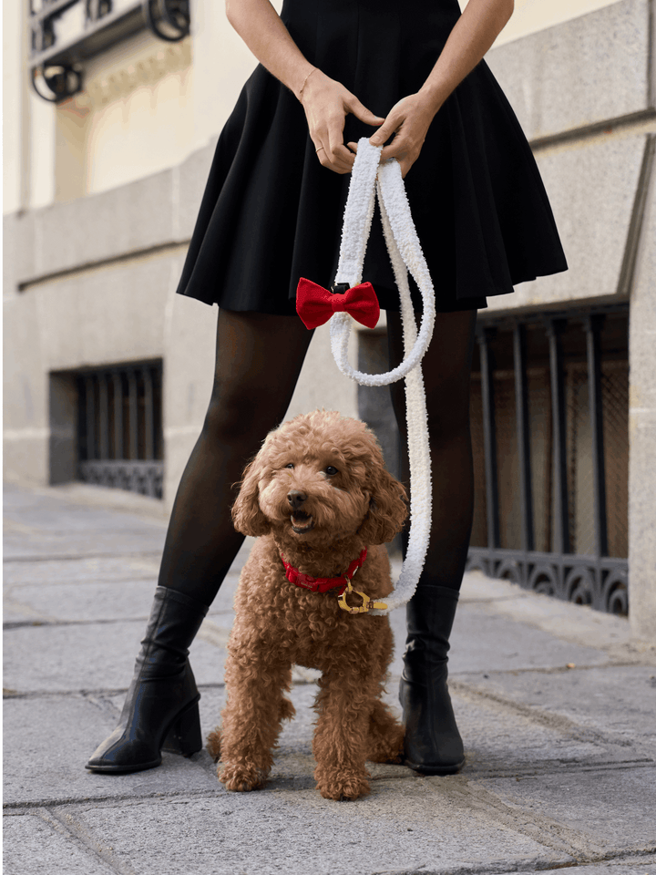 PAJARITA PARA PERRO VELVET RED