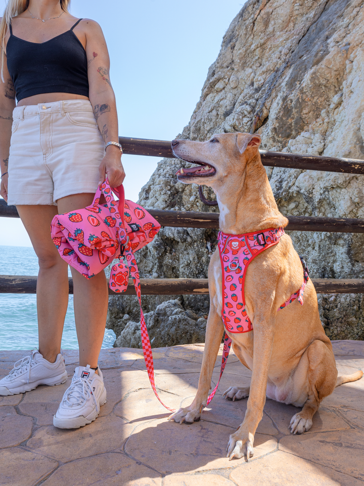 ARNES TRAIL PARA PERRO BERRY LOVE