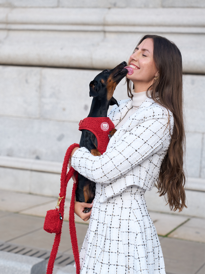 TEDDY RED POO BAG HOLDER