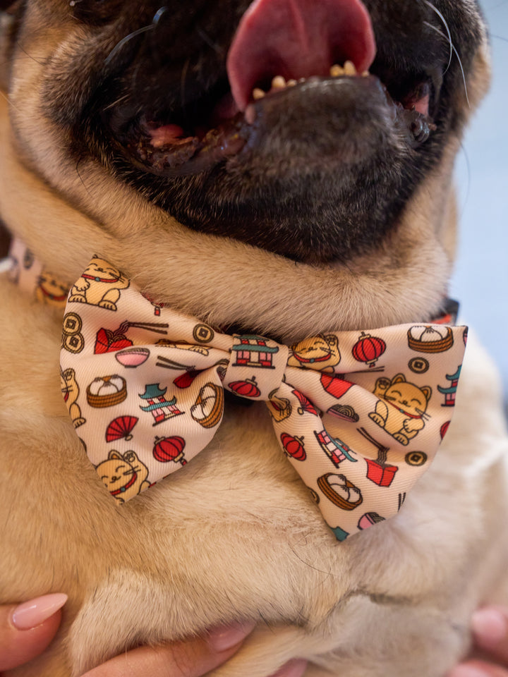 PAJARITA PARA PERRO ASIAN