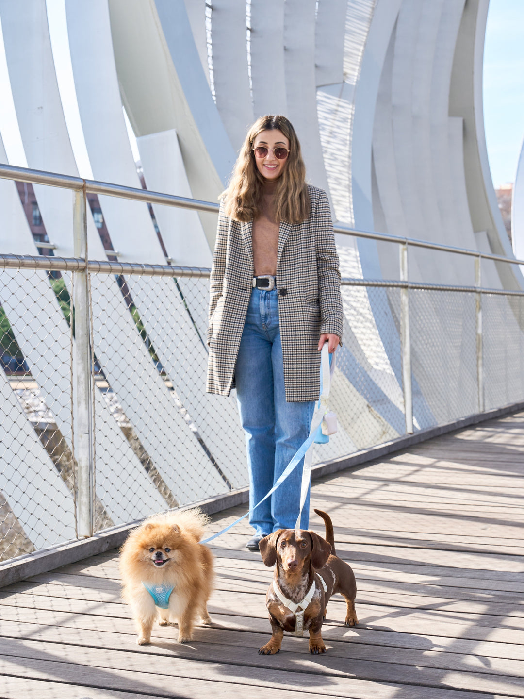 KLASSISCHES HUNDEGESCHIRR BEIGE