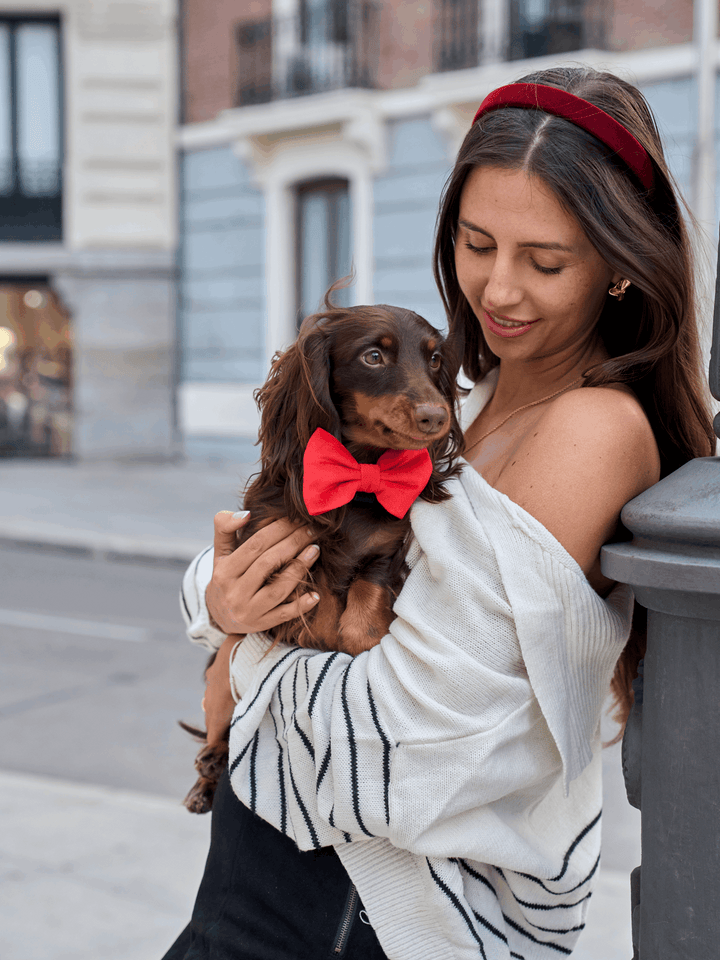 PAJARITA PARA PERRO VELVET RED