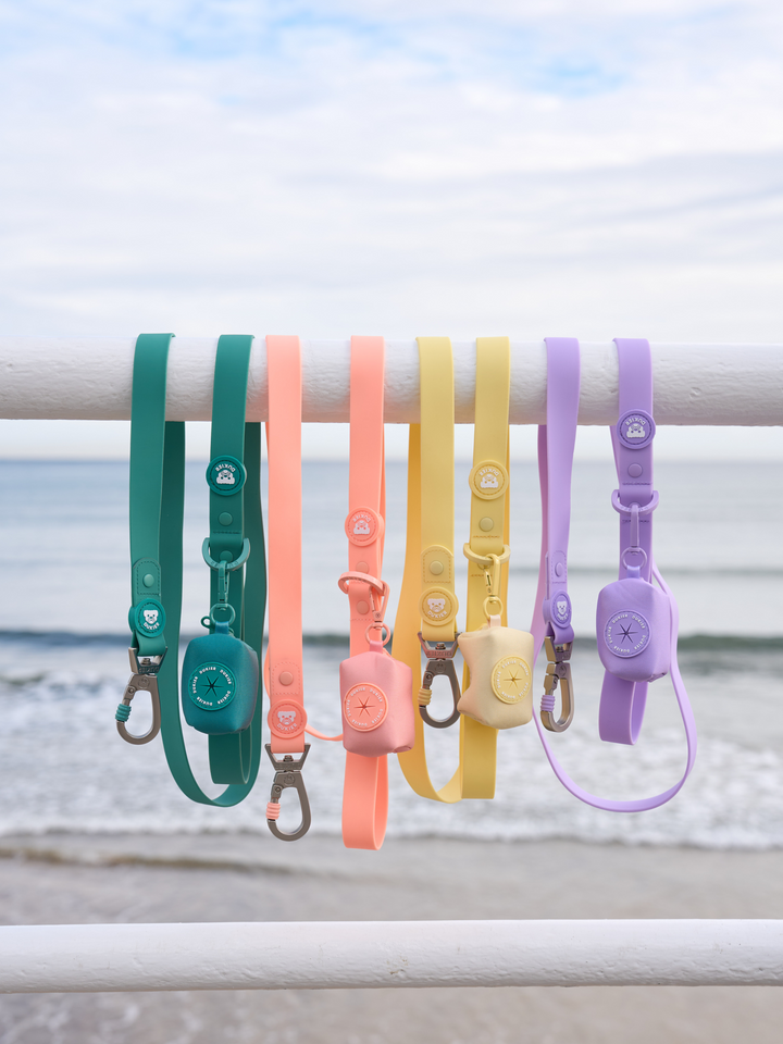 PORTA BOLSAS CACA PARA PERRO YELLOW