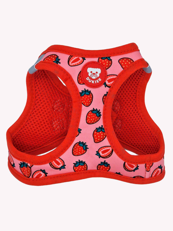 PETTORINA  BODY BERRY LOVE
