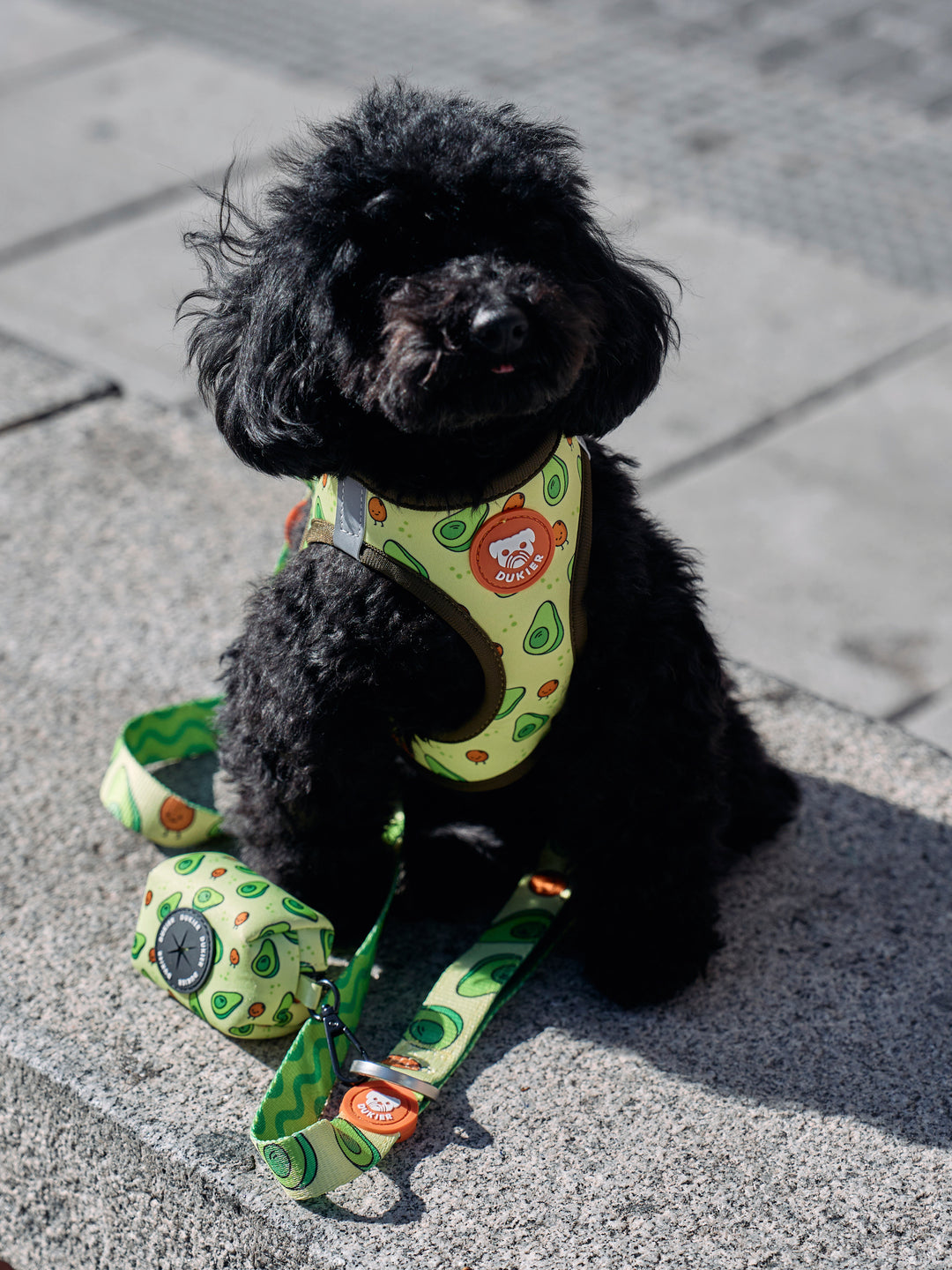 ARNÊS BODY PARA CÃES AVOCADO