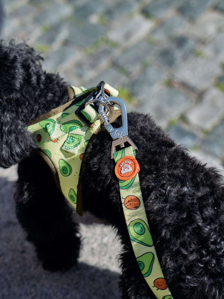 DOG BODY HARNESS AVOCADO