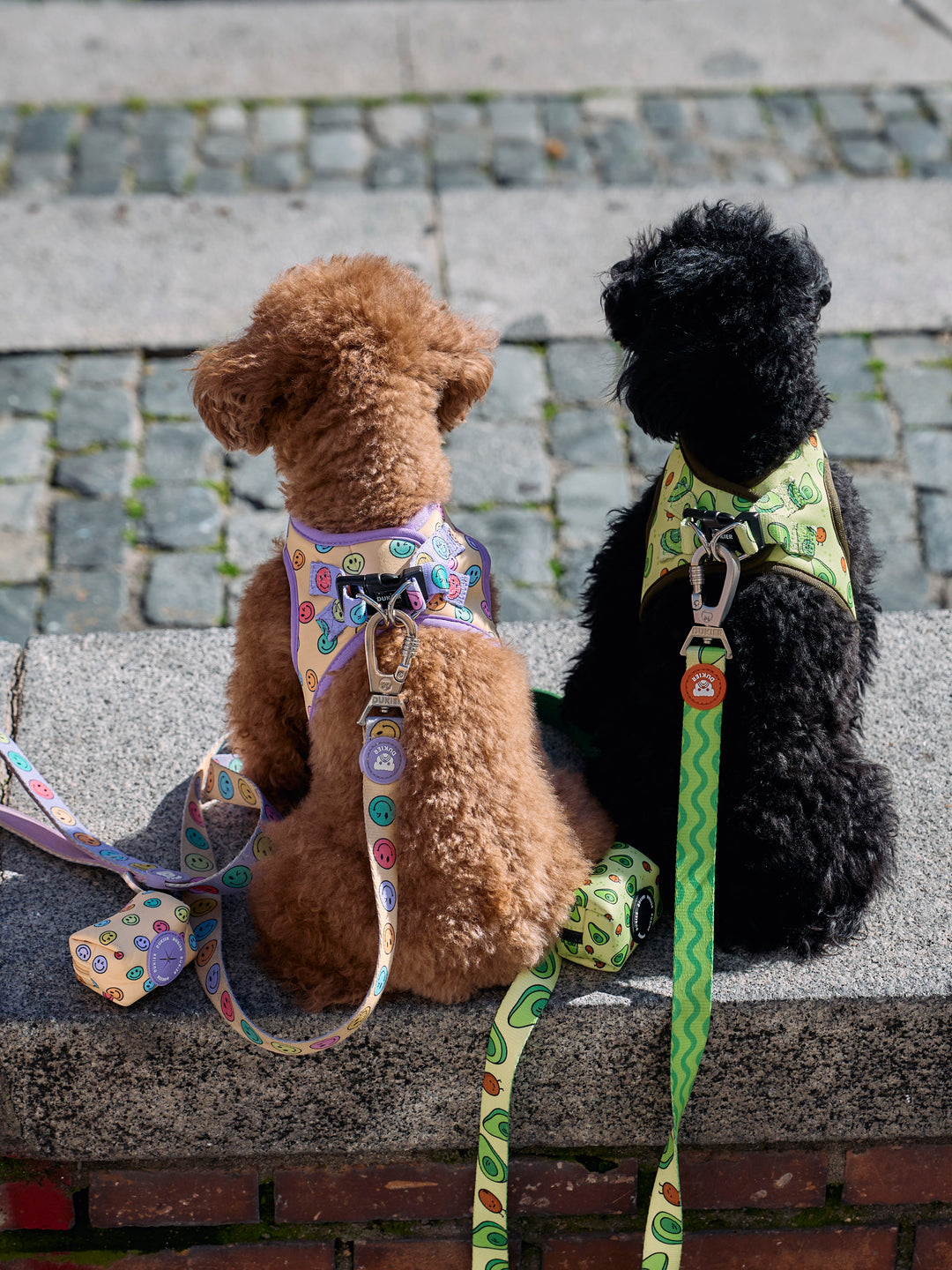 DOG BODY HARNESS AVOCADO