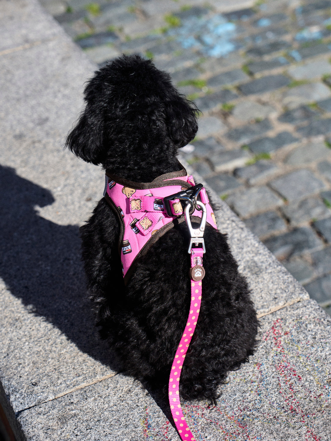 DOG BODY HARNESS DOGTELLA