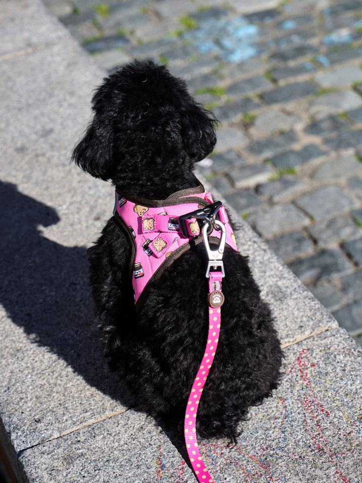 DOGTELLA LEASH FOR DOGS