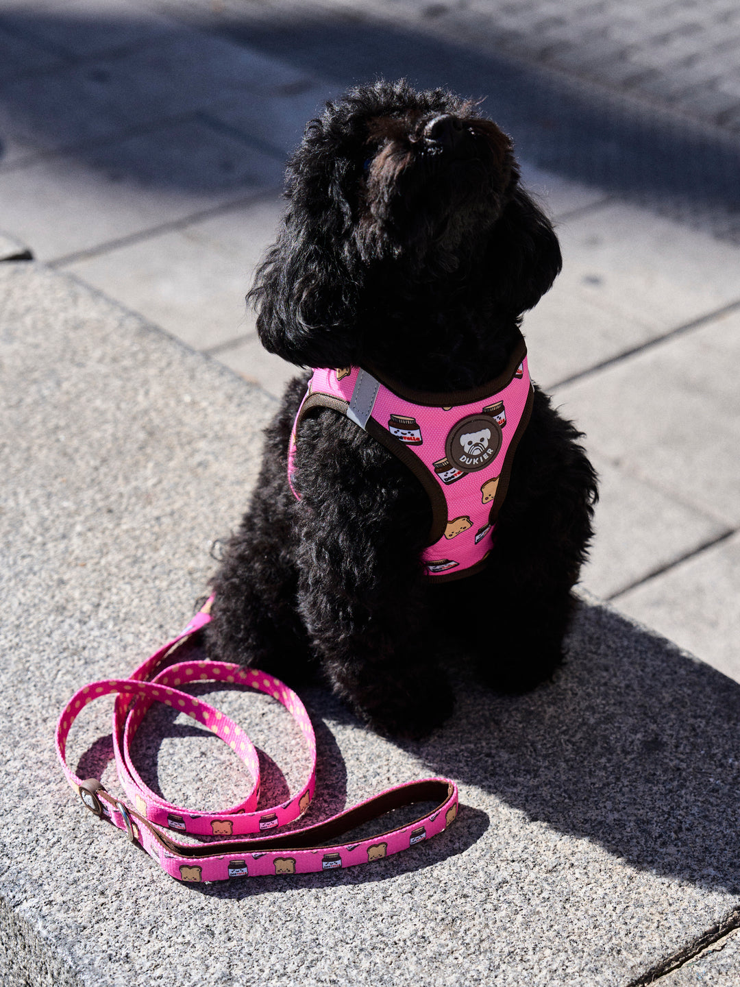 DOG BODY HARNESS DOGTELLA