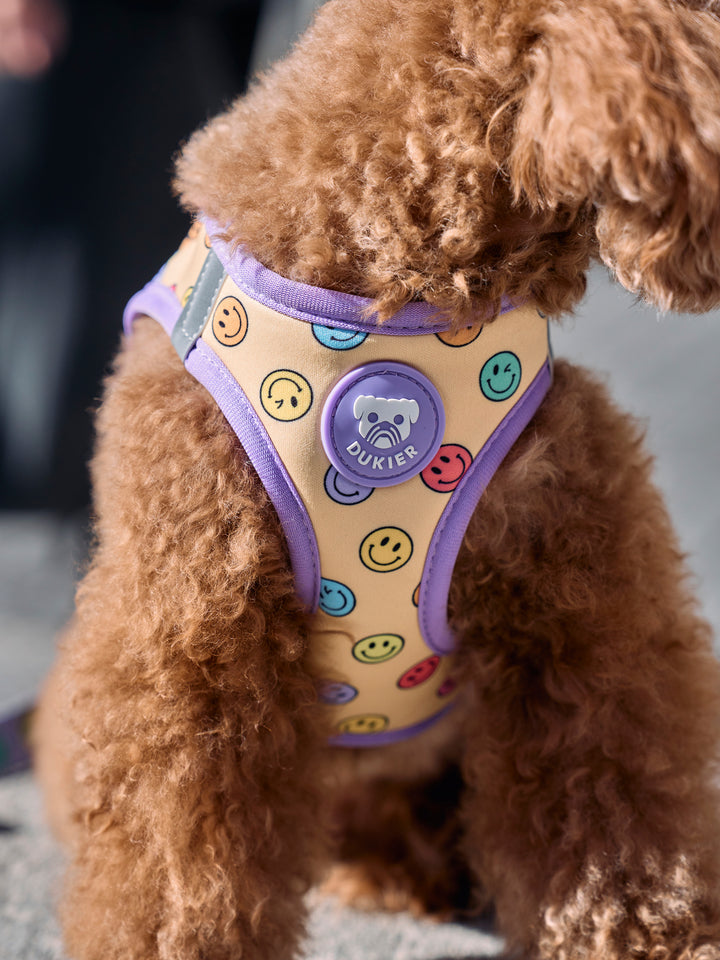 DOG BODY HARNESS SMILEY