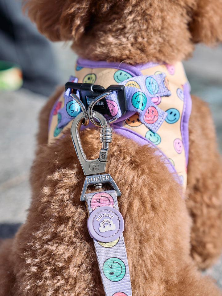 DOG BODY HARNESS SMILEY