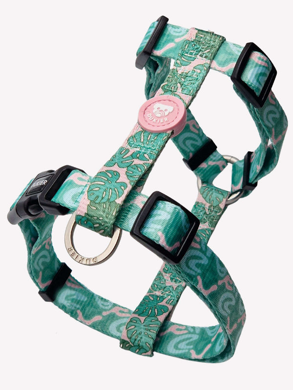 CLASSIC  HARNESS MONSTERA