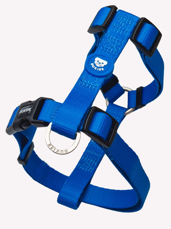 HARNAIS CLASSIQUE BLUE 