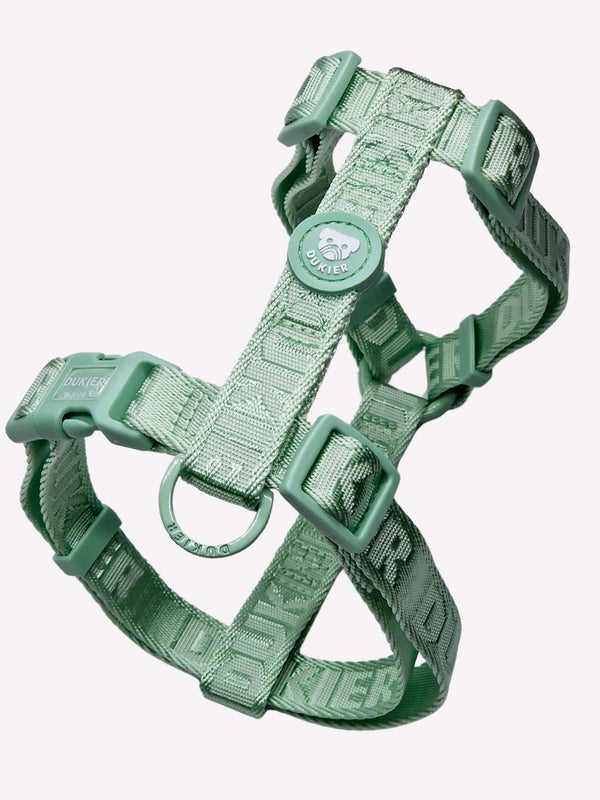 CLASSIC  HARNESS SOFT GREEN