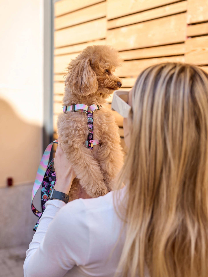 ARNÉS CLÁSICO PARA PERRO PINK GALAXY