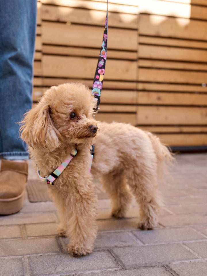 ARNÉS CLÁSICO PARA PERRO PINK GALAXY