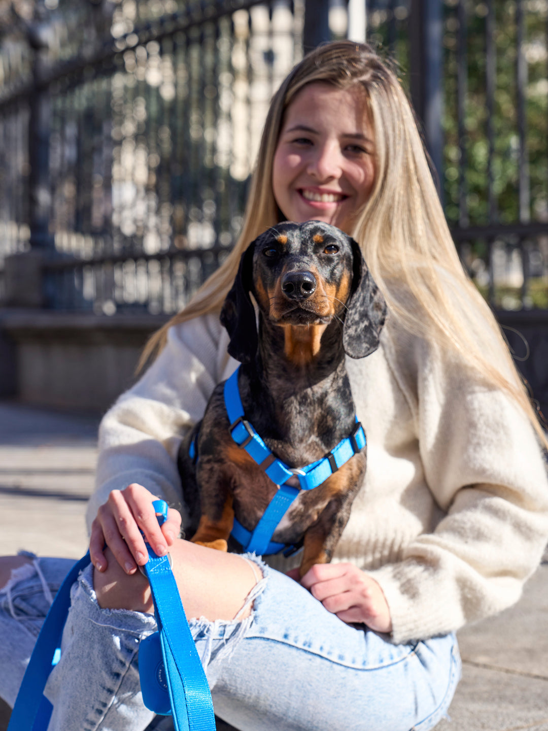 ARNÊS CLÁSSICO PARA CÃES BLUE