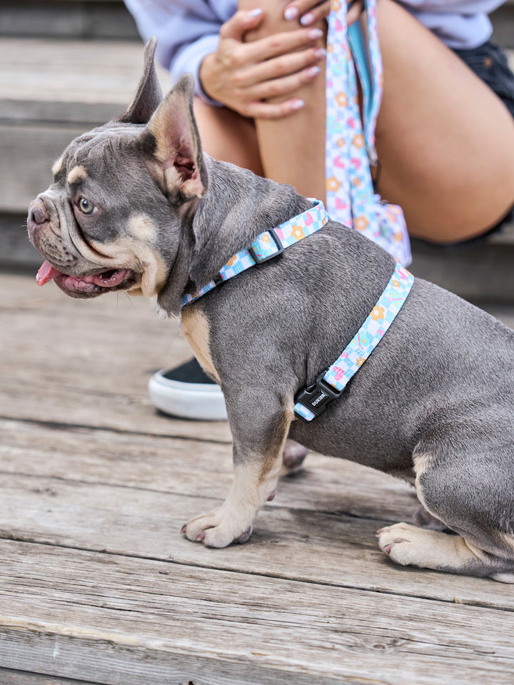 CHESS BOARD CLASSIC DOG HARNESS