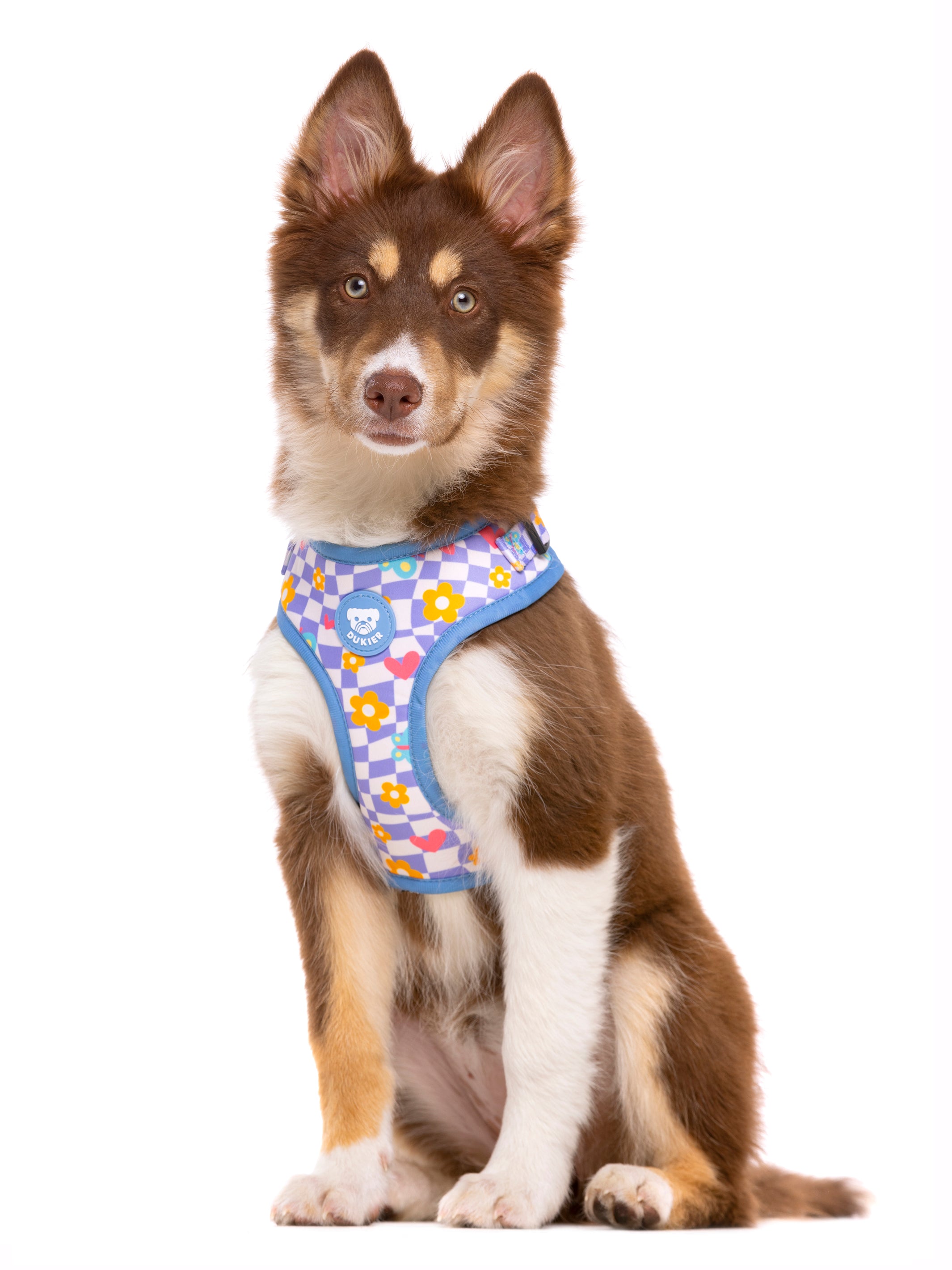 CHESS BOARD ADJUSTABLE DOG HARNESS