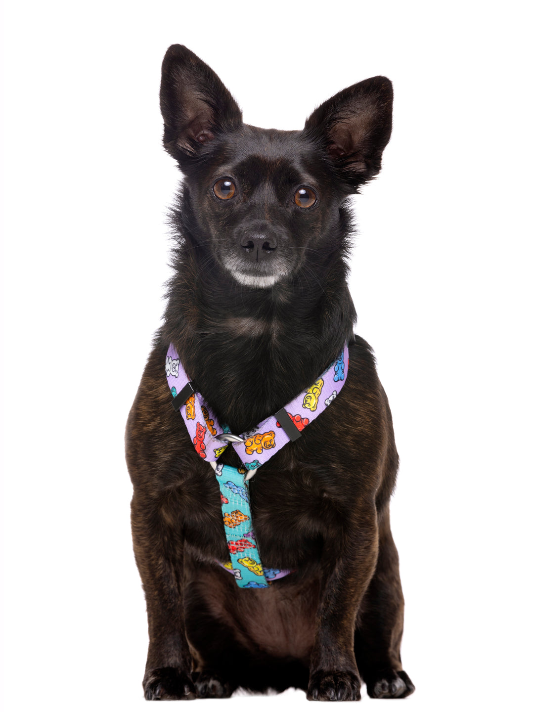 GUMMY BEARS CLASSIC DOG HARNESS