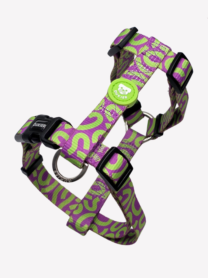 HARNAIS CLASSIQUE KALEIDO LIME SWIRL POUR CHIEN