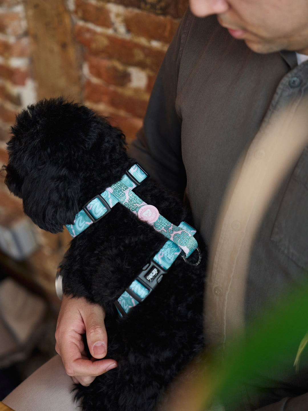 MONSTERA CLASSIC DOG HARNESS