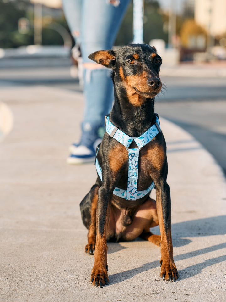 PENGUINS CLASSIC DOG HARNESS