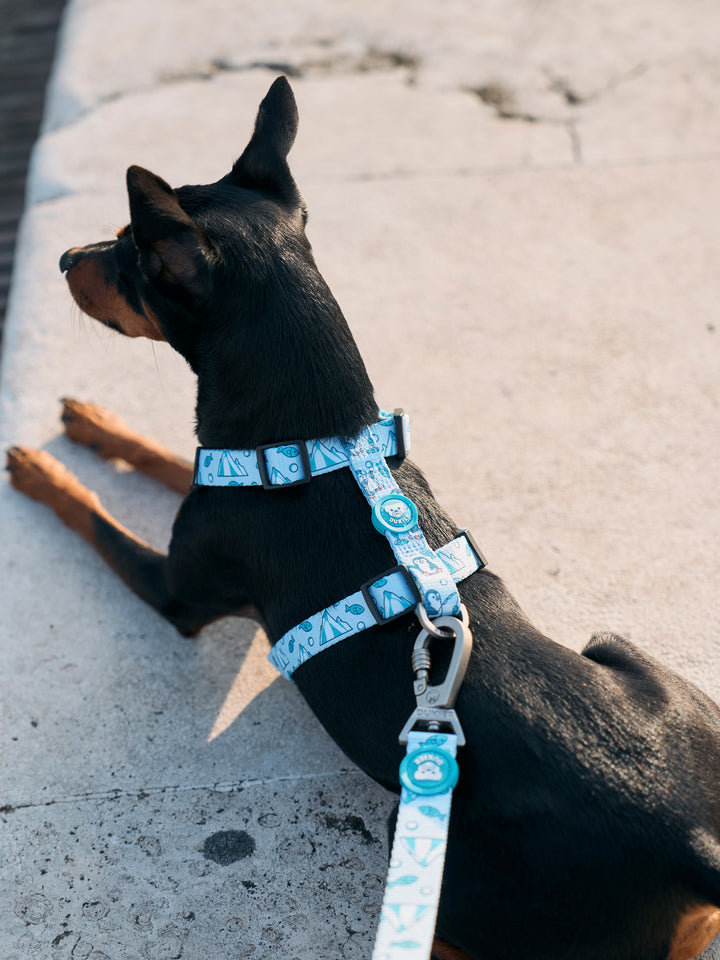 PENGUINS CLASSIC DOG HARNESS