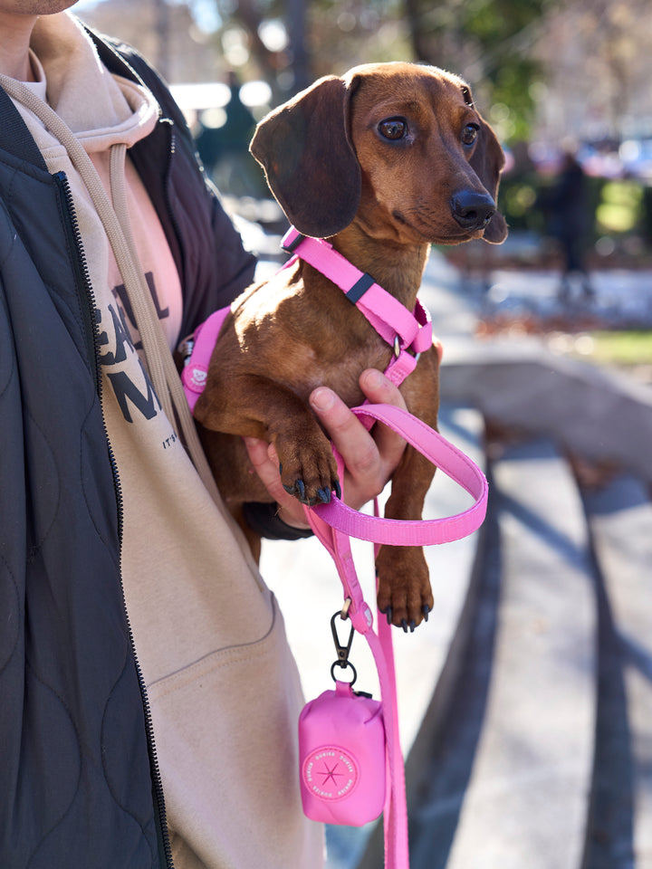 PINK CLASSIC DOG HARNESS