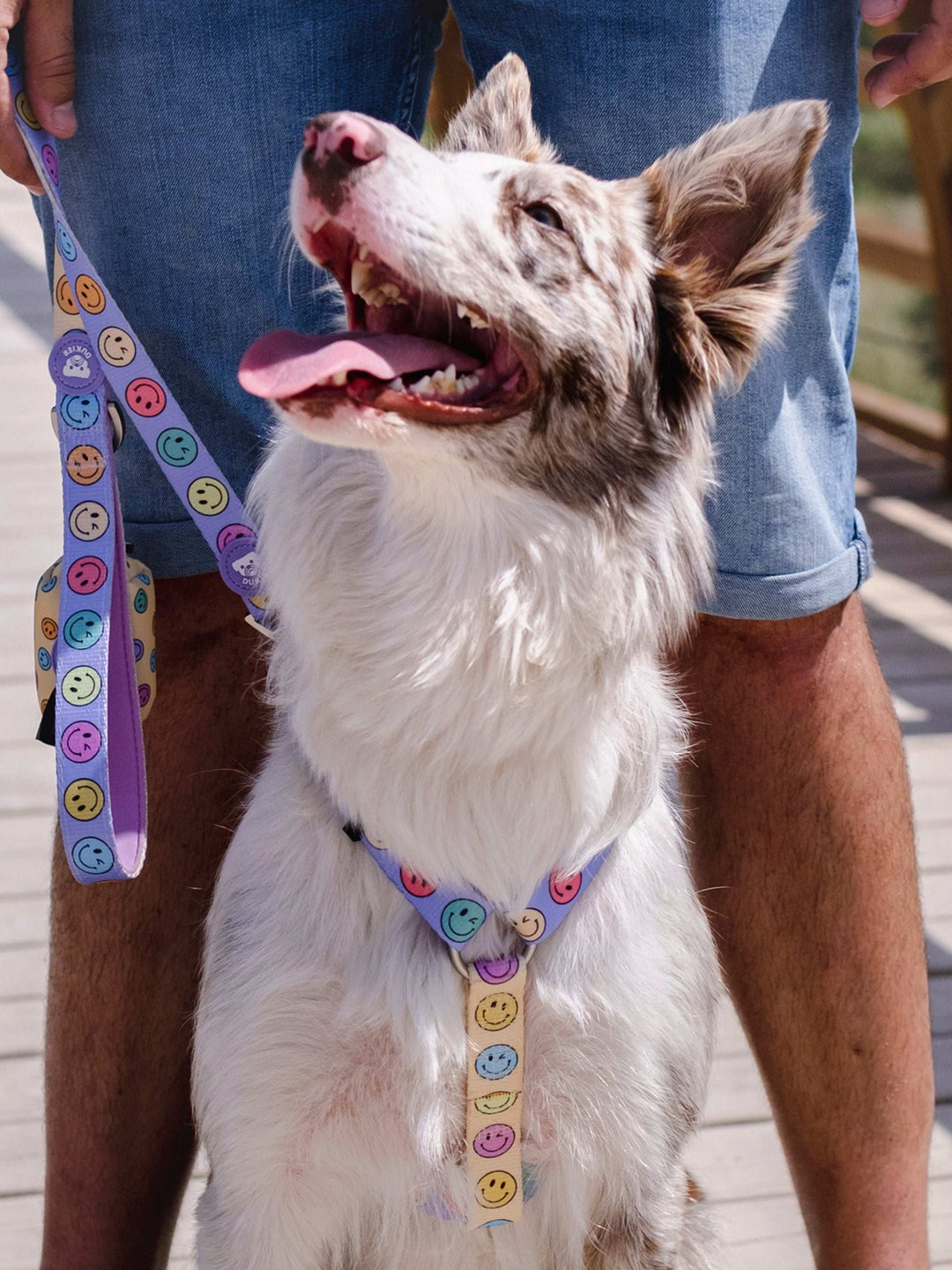 ARNÉS CLÁSICO PARA PERRO SMILEY
