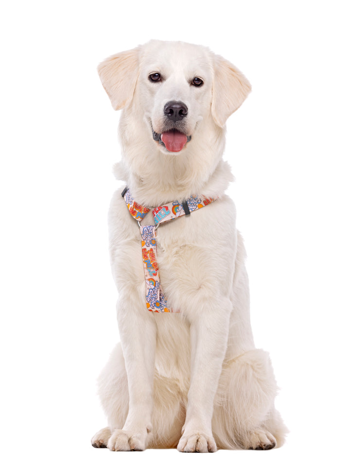 STICKERS CLASSIC DOG HARNESS