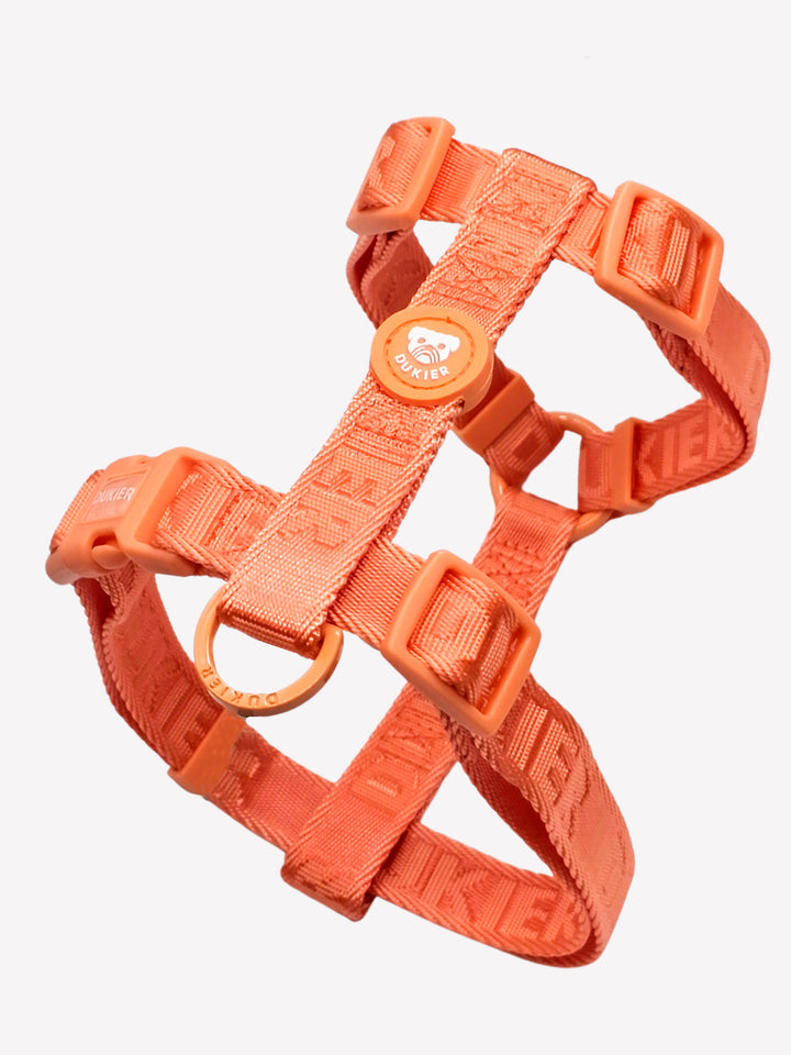 PETTORINA CLASSICA PER CANE TANGERINE