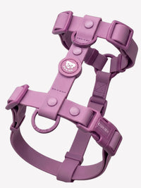 PETTORINE WATERPROOF