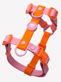WATERPROOF HARNESSES