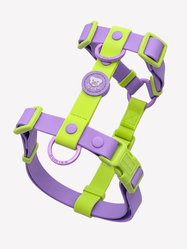 ARNES WATERPROOF  VIOLET MATCHA