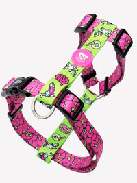 ARNESES CLÁSICOS ESTAMPADOS