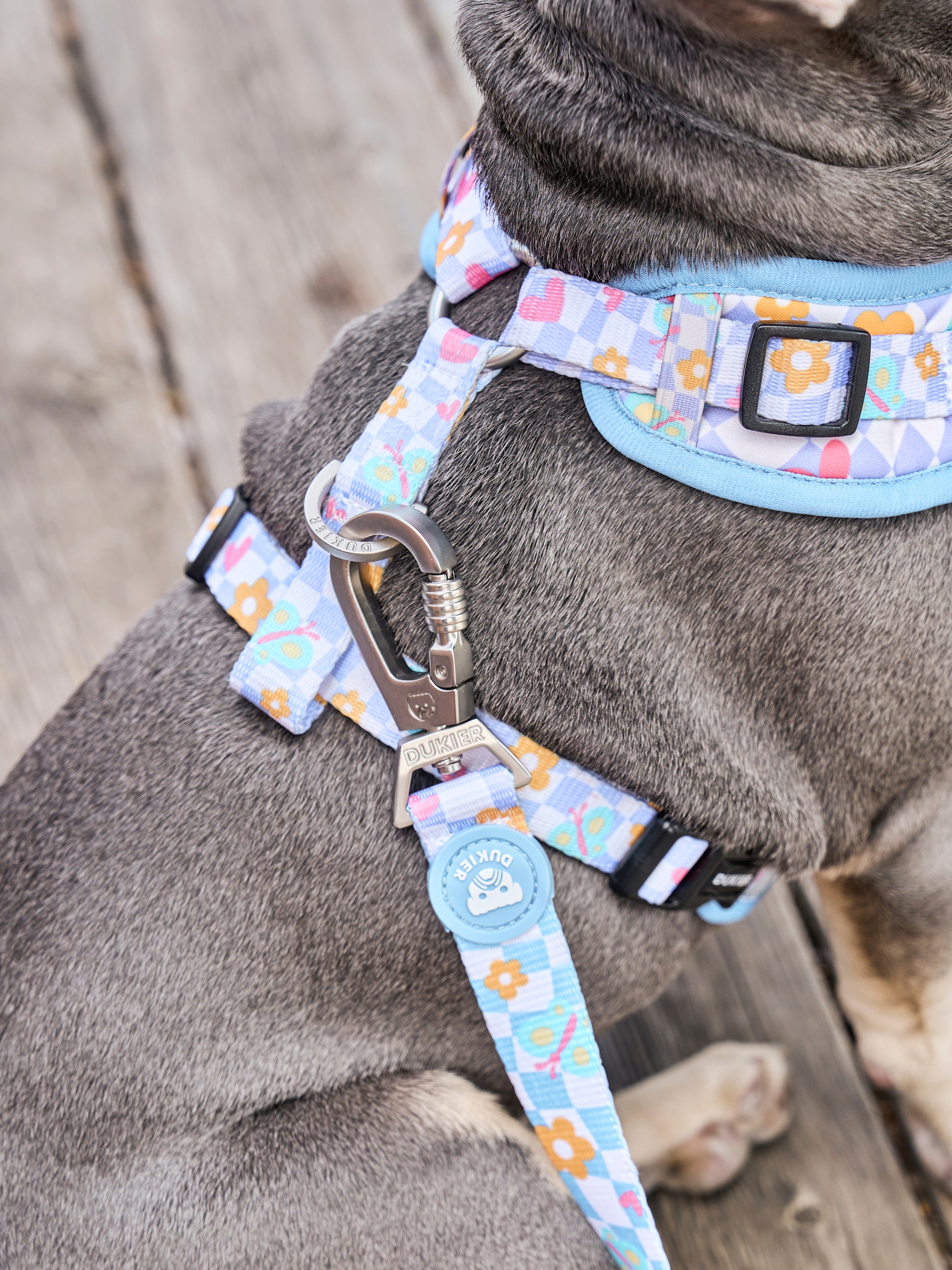 CHESS BOARD ADJUSTABLE DOG HARNESS