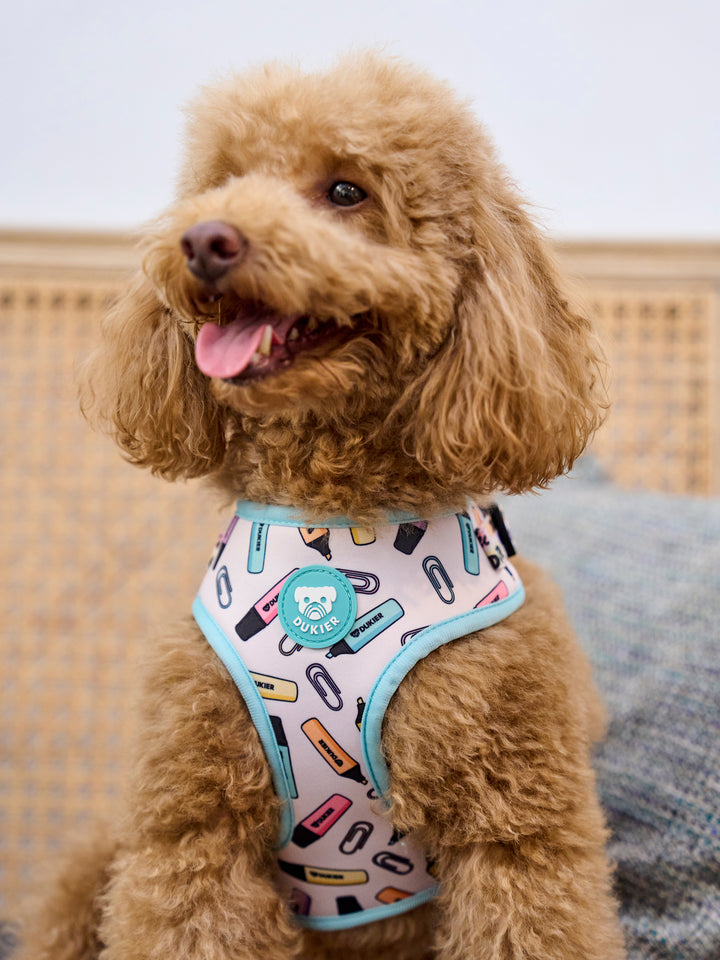 COOL SCHOOL ADJUSTABLE DOG HARNESS