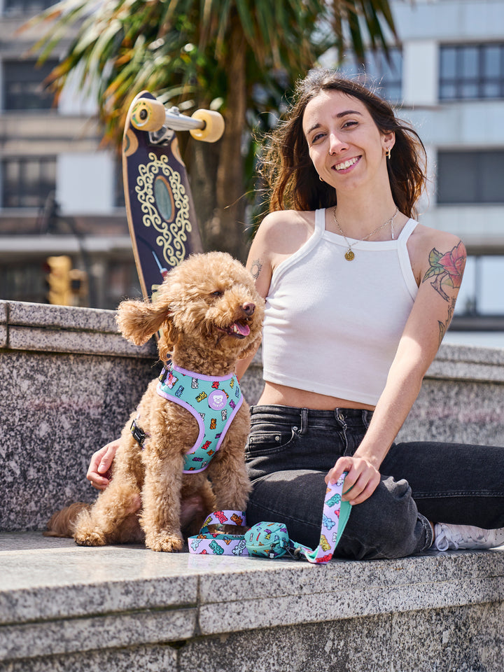 GUMMY BEARS ADJUSTABLE DOG HARNESS