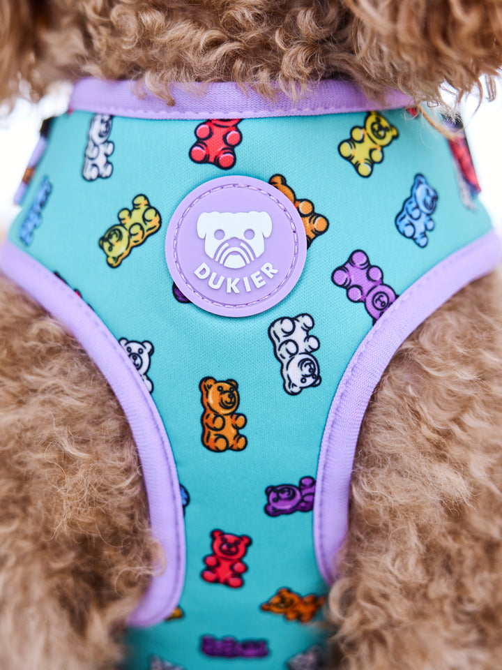 GUMMY BEARS ADJUSTABLE DOG HARNESS