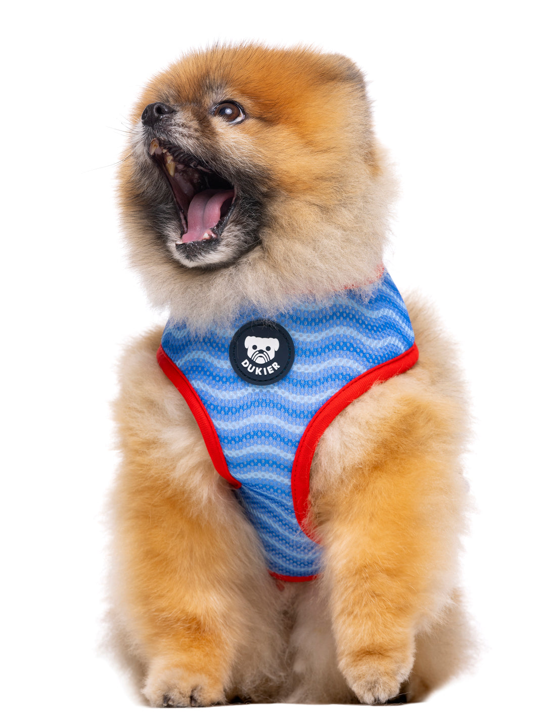 NAVY REVERSIBLE DOG HARNESS