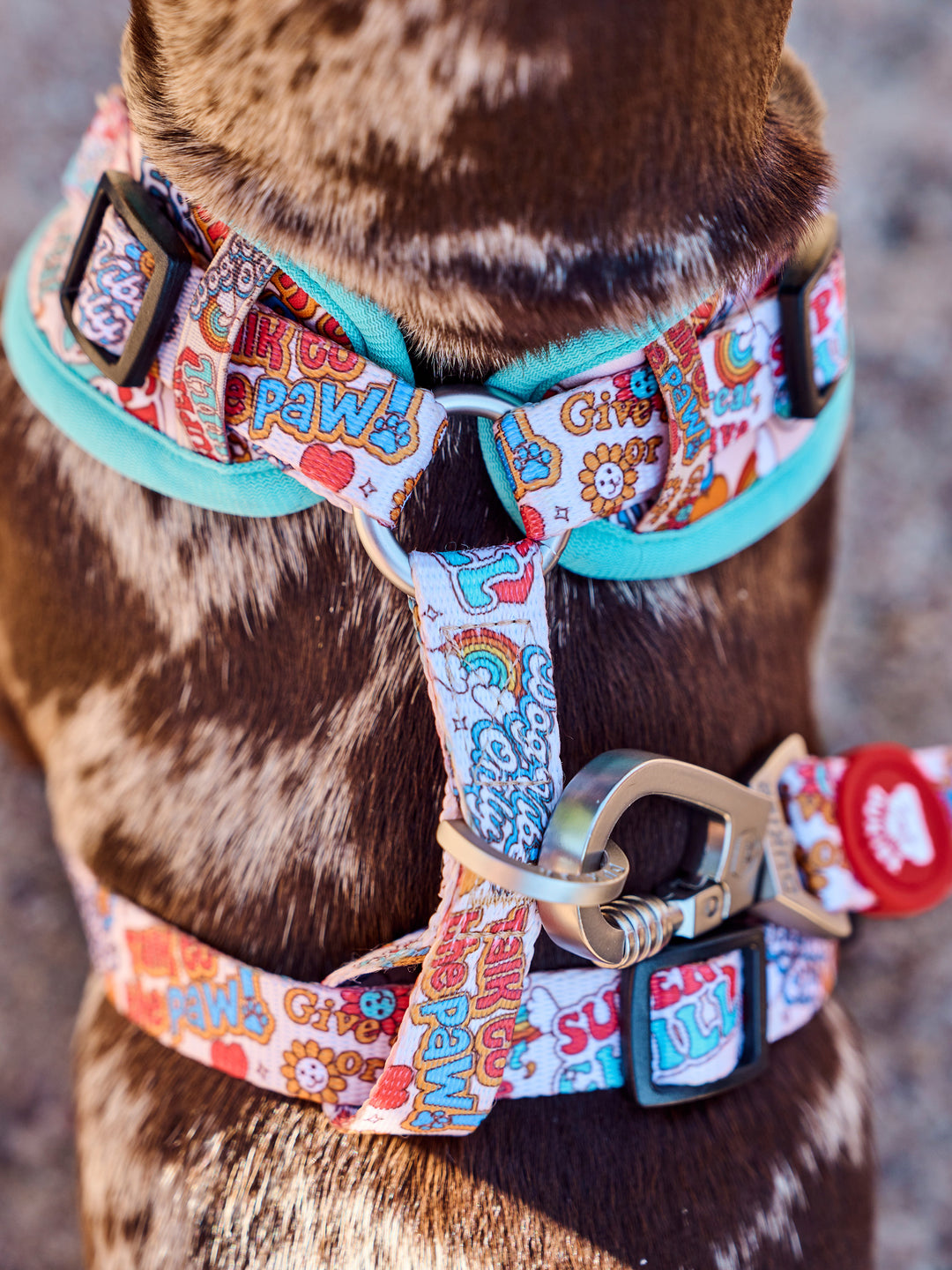 STICKERS ADJUSTABLE DOG HARNESS