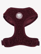 ARNESES TEDDY