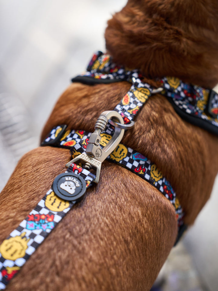 GRUNGE ADJUSTABLE DOG HARNESS