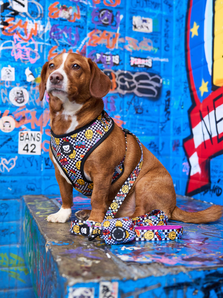 GRUNGE ADJUSTABLE DOG HARNESS
