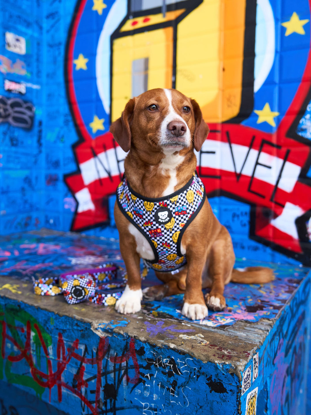 GRUNGE ADJUSTABLE DOG HARNESS